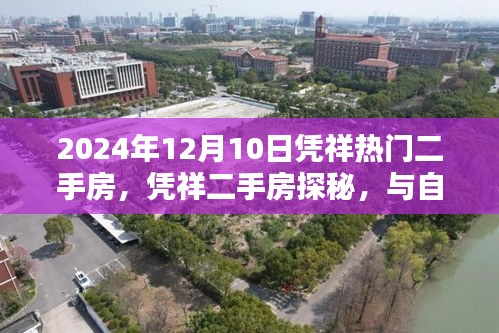 憑祥熱門(mén)二手房探秘，與自然美景的邂逅，尋找寧?kù)o家園