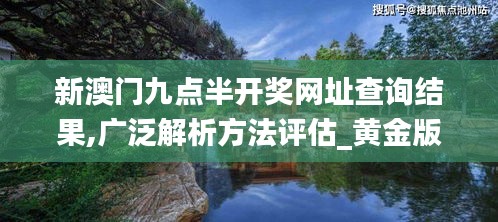 新澳門九點(diǎn)半開獎(jiǎng)網(wǎng)址查詢結(jié)果,廣泛解析方法評(píng)估_黃金版13.229