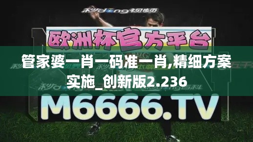 管家婆一肖一碼準(zhǔn)一肖,精細(xì)方案實施_創(chuàng)新版2.236