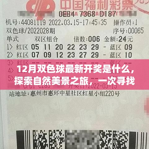 揭秘十二月雙色球開獎秘密，探尋自然美景之旅與內心平靜的旅程