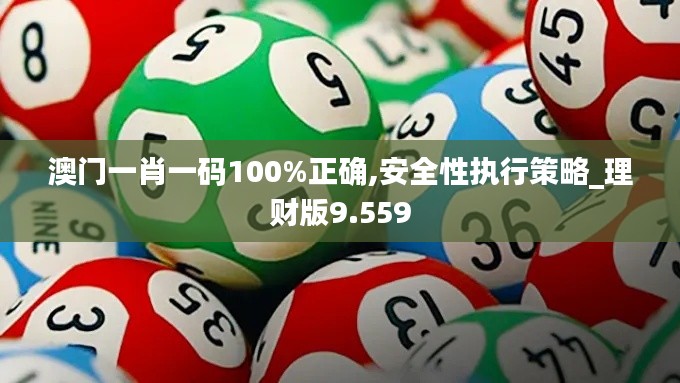澳門一肖一碼100%正確,安全性執(zhí)行策略_理財(cái)版9.559