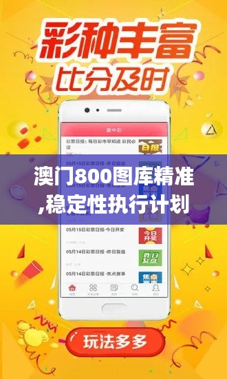 澳門800圖庫(kù)精準(zhǔn),穩(wěn)定性執(zhí)行計(jì)劃_Windows14.270