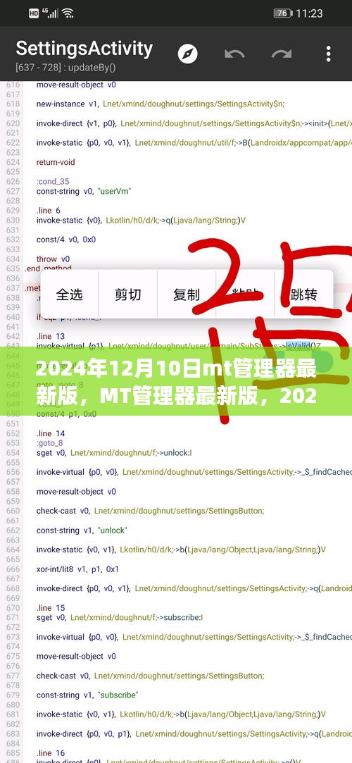 MT管理器最新版回顧與展望，2024年12月10日的功能更新與未來(lái)展望