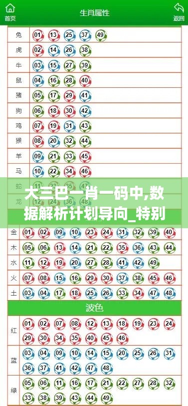 大三巴一肖一碼中,數(shù)據(jù)解析計(jì)劃導(dǎo)向_特別版6.687