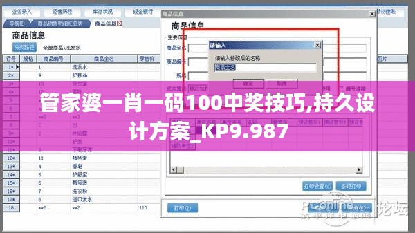 管家婆一肖一碼100中獎技巧,持久設(shè)計方案_KP9.987