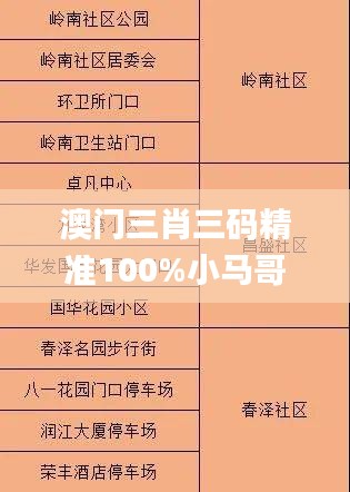 澳門三肖三碼精準(zhǔn)100%小馬哥,定量分析解釋定義_Gold1.946