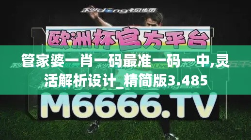 管家婆一肖一碼最準(zhǔn)一碼一中,靈活解析設(shè)計(jì)_精簡版3.485