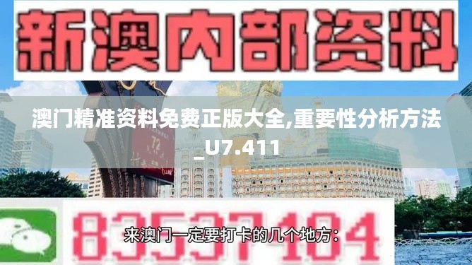 澳門精準資料免費正版大全,重要性分析方法_U7.411