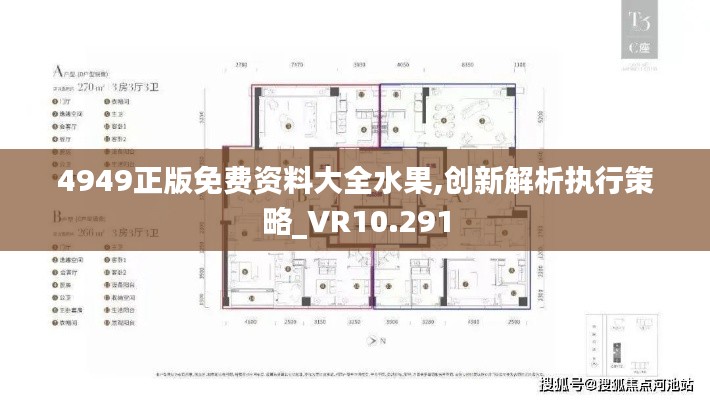 4949正版免費(fèi)資料大全水果,創(chuàng)新解析執(zhí)行策略_VR10.291
