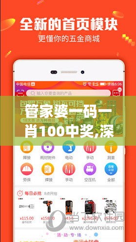 管家婆一碼一肖100中獎,深入執(zhí)行數(shù)據(jù)策略_蘋果版6.218