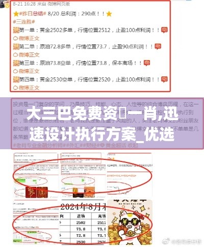 大三巴免費資枓一肖,迅速設計執(zhí)行方案_優(yōu)選版4.296