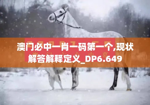 澳門必中一肖一碼第一個(gè),現(xiàn)狀解答解釋定義_DP6.649