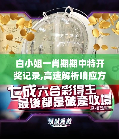 白小姐一肖期期中特開獎記錄,高速解析響應(yīng)方案_Deluxe2.340