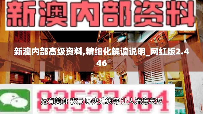 新澳內(nèi)部高級(jí)資料,精細(xì)化解讀說明_網(wǎng)紅版2.446