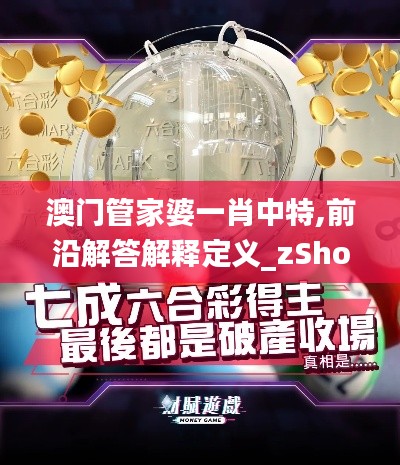 澳門(mén)管家婆一肖中特,前沿解答解釋定義_zShop9.276