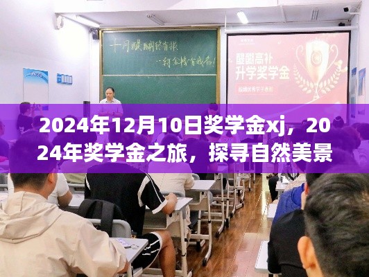 探尋自然美景，尋找內(nèi)心寧靜的獎學(xué)金之旅——2024年獎學(xué)金xj紀(jì)實(shí)