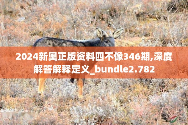 2024新奧正版資料四不像346期,深度解答解釋定義_bundle2.782