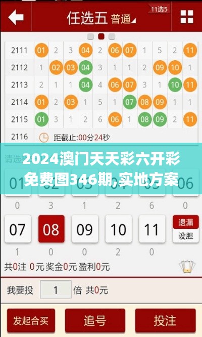 2024澳門天天彩六開彩免費圖346期,實地方案驗證_Pixel4.477