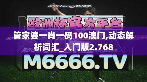 管家婆一肖一碼100澳門,動(dòng)態(tài)解析詞匯_入門版2.768