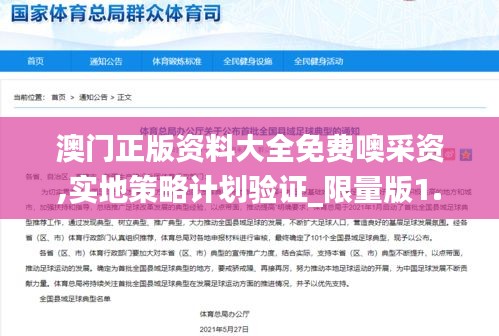 澳門正版資料大全免費噢采資,實地策略計劃驗證_限量版1.573