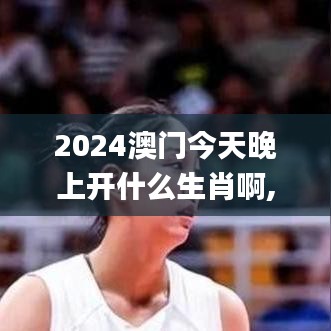 2024澳門今天晚上開什么生肖啊,合理決策執(zhí)行審查_體驗版1.105