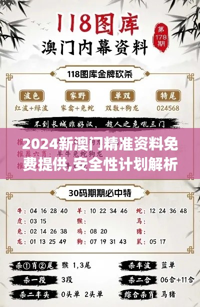 2024新澳門精準(zhǔn)資料免費(fèi)提供,安全性計(jì)劃解析_Z10.392