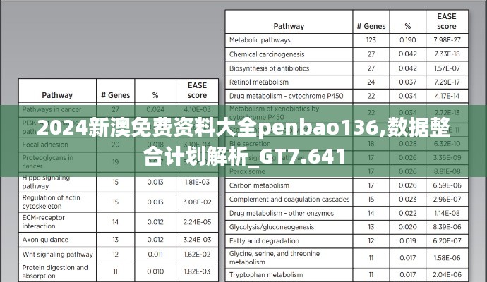2024新澳免費(fèi)資料大全penbao136,數(shù)據(jù)整合計(jì)劃解析_GT7.641