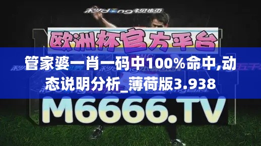管家婆一肖一碼中100%命中,動(dòng)態(tài)說明分析_薄荷版3.938