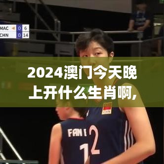 2024澳門今天晚上開什么生肖啊,精細(xì)設(shè)計(jì)計(jì)劃_戶外版11.322