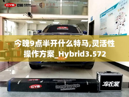 今晚9點半開什么特馬,靈活性操作方案_Hybrid3.572