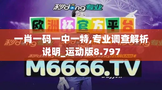 一肖一碼一中一特,專業(yè)調(diào)查解析說明_運(yùn)動(dòng)版8.797