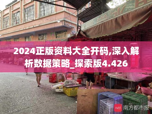 2024正版資料大全開碼,深入解析數(shù)據(jù)策略_探索版4.426