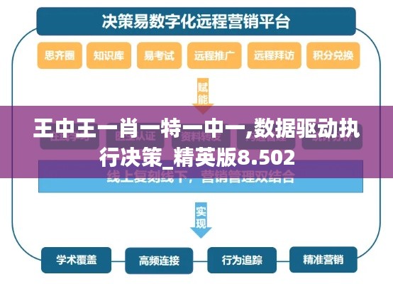 王中王一肖一特一中一,數(shù)據(jù)驅(qū)動執(zhí)行決策_精英版8.502