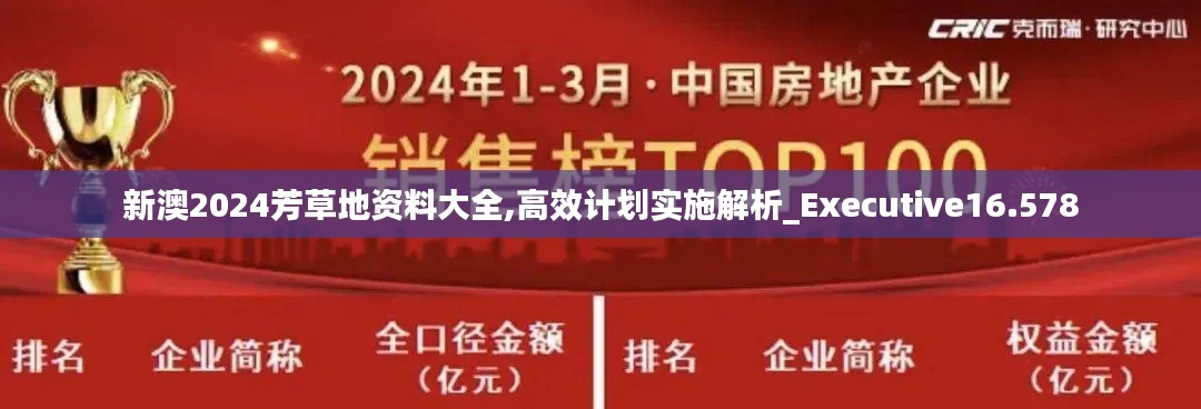 新澳2024芳草地資料大全,高效計(jì)劃實(shí)施解析_Executive16.578