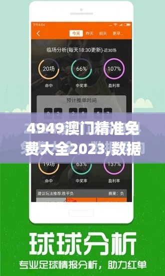 4949澳門精準免費大全2023,數(shù)據(jù)解答解釋定義_6DM9.252