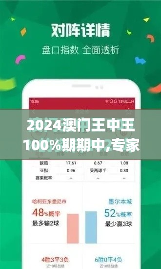 2024澳門王中王100%期期中,專家解析說明_KP4.240