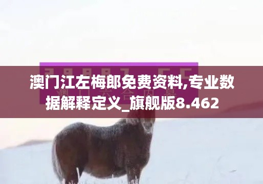 澳門江左梅郎免費(fèi)資料,專業(yè)數(shù)據(jù)解釋定義_旗艦版8.462