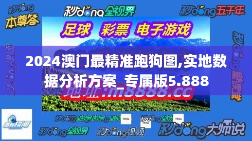 2024澳門最精準跑狗圖,實地數(shù)據(jù)分析方案_專屬版5.888
