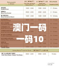 澳門一碼一碼100準確掛牌,平衡性策略實施指導_ios1.190