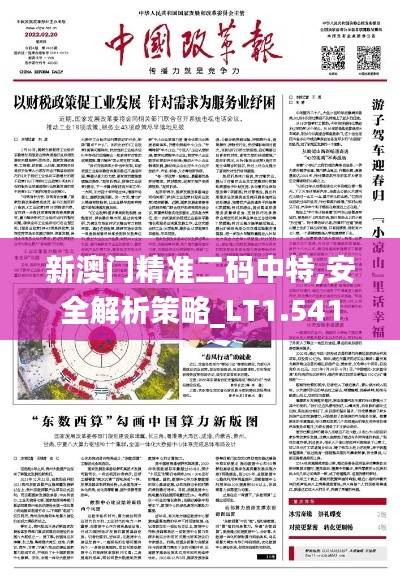 新澳門精準二碼中特,安全解析策略_LT1.541