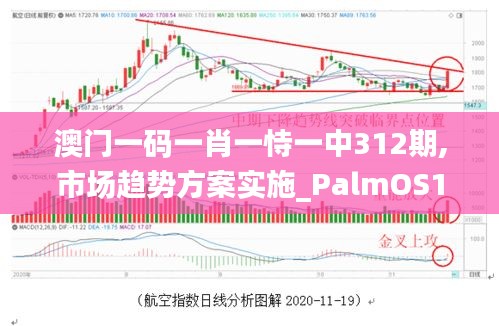 澳門一碼一肖一恃一中312期,市場趨勢方案實施_PalmOS10.107