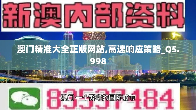 澳門精準大全正版網(wǎng)站,高速響應策略_Q5.998