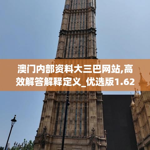澳門內(nèi)部資料大三巴網(wǎng)站,高效解答解釋定義_優(yōu)選版1.621
