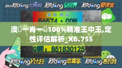 澳門一肖一碼100%精準王中王,定性評估解析_X6.755