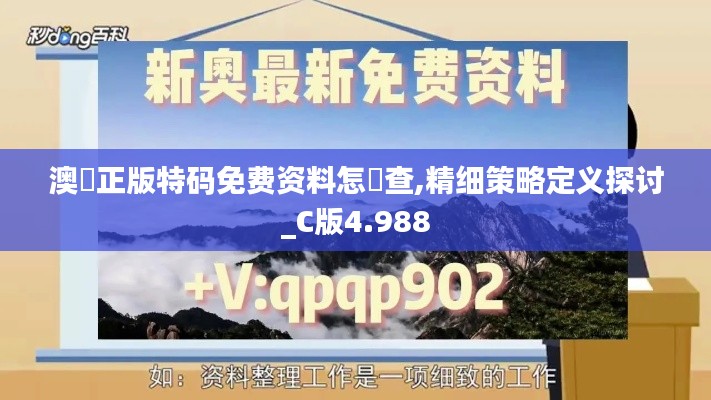澳門正版特碼免費(fèi)資料怎樣查,精細(xì)策略定義探討_C版4.988