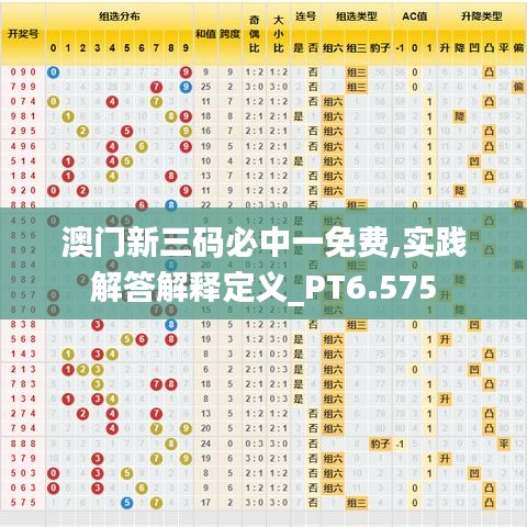 澳門新三碼必中一免費(fèi),實踐解答解釋定義_PT6.575