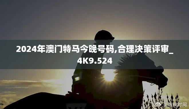 2024年澳門特馬今晚號碼,合理決策評審_4K9.524