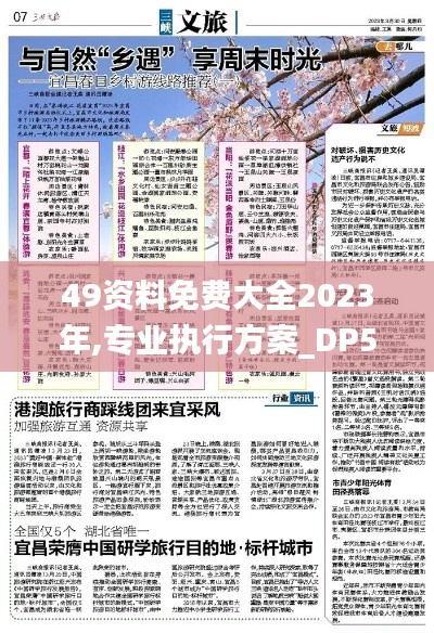 49資料免費(fèi)大全2023年,專業(yè)執(zhí)行方案_DP5.937