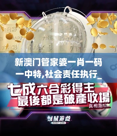 新澳門管家婆一肖一碼一中特,社會(huì)責(zé)任執(zhí)行_蘋果1.395