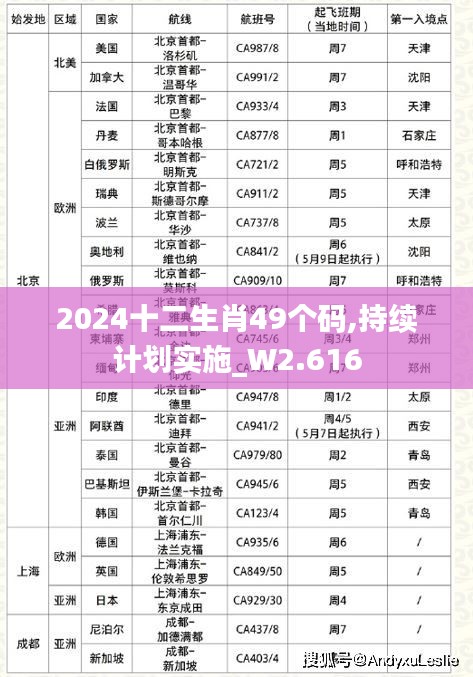 2024十二生肖49個碼,持續(xù)計劃實施_W2.616